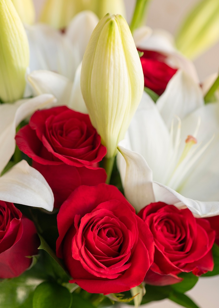 Imagen para 12 Besos de Rosas y Lilies - 4