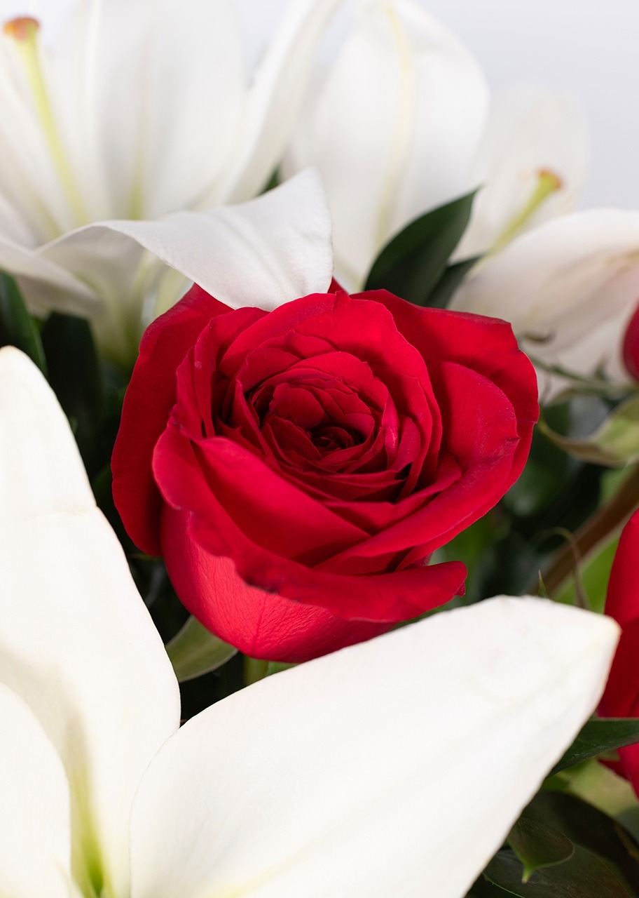 Imagen para 15 Besos de Rosas y Lilies - 4