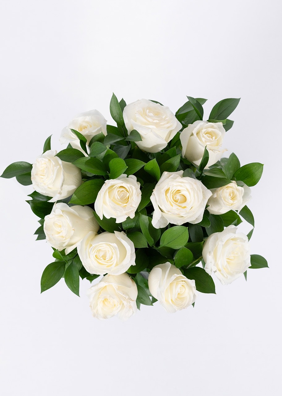 Imagen para 12 Rosas Blancas - 3