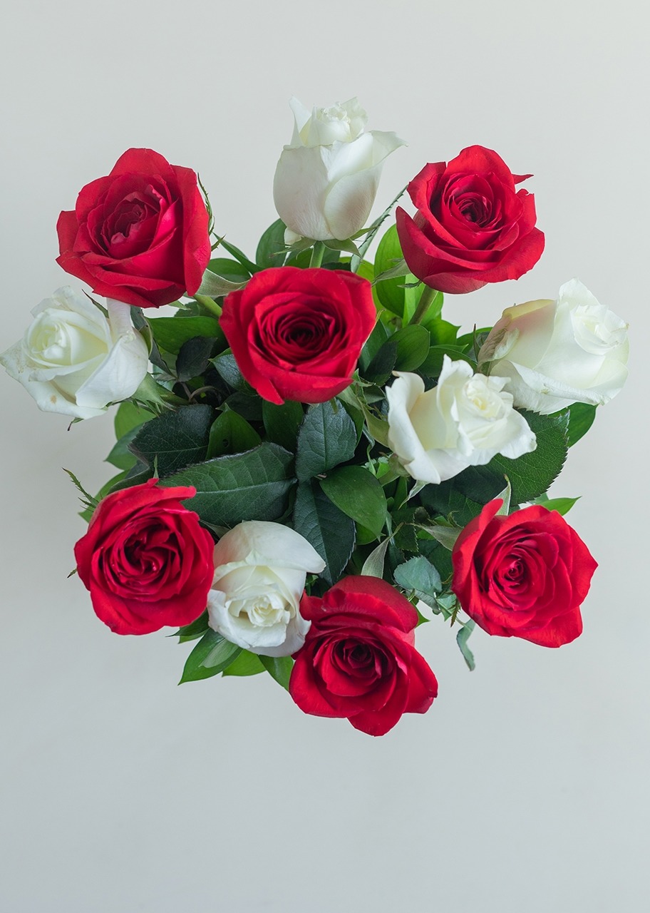 Imagen para 12 Rosas Radiantes - 3