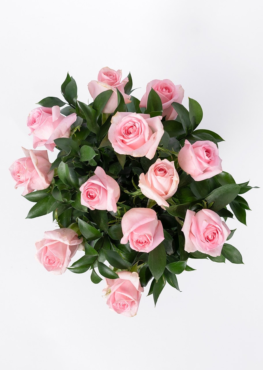 Imagen para Arreglo de 12 Rosas Rosa Claro	 - 3
