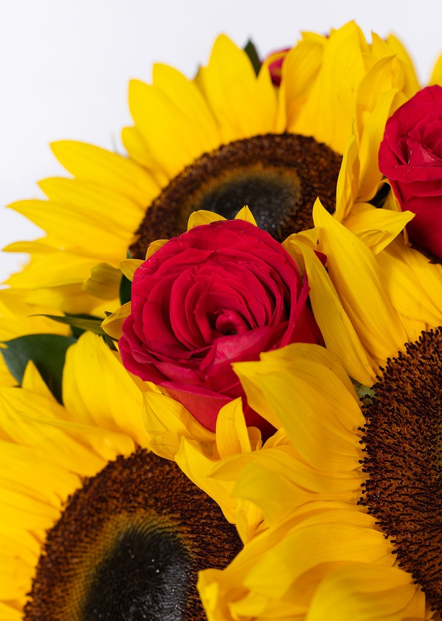 Imagen para 12 Rosas rojas con girasoles en jarron - 4