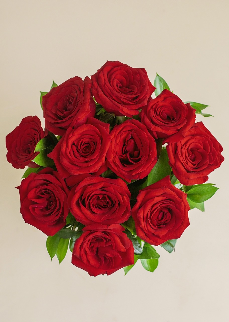 Imagen para 12 Rosas rojas en jarrón - 2