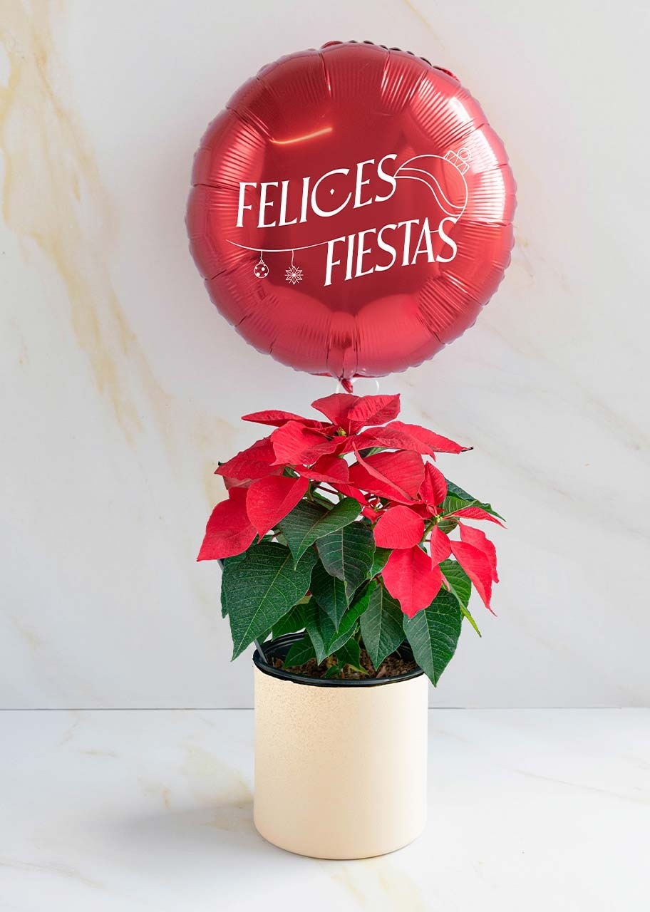 Imagen para Noche buena y Globo Felices Fiestas - 1