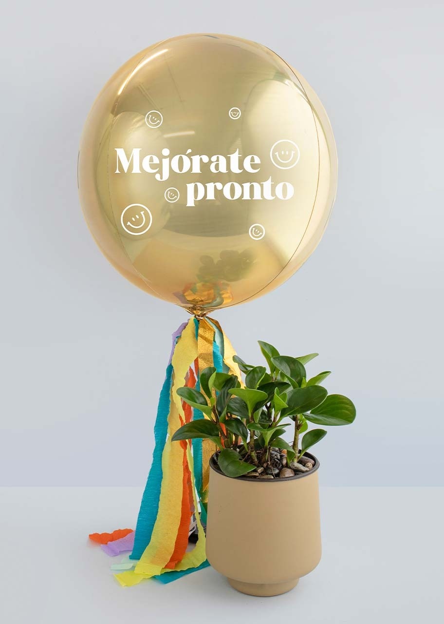 Imagen para Globo Mejórate Pronto y Planta Sanseveria - 1