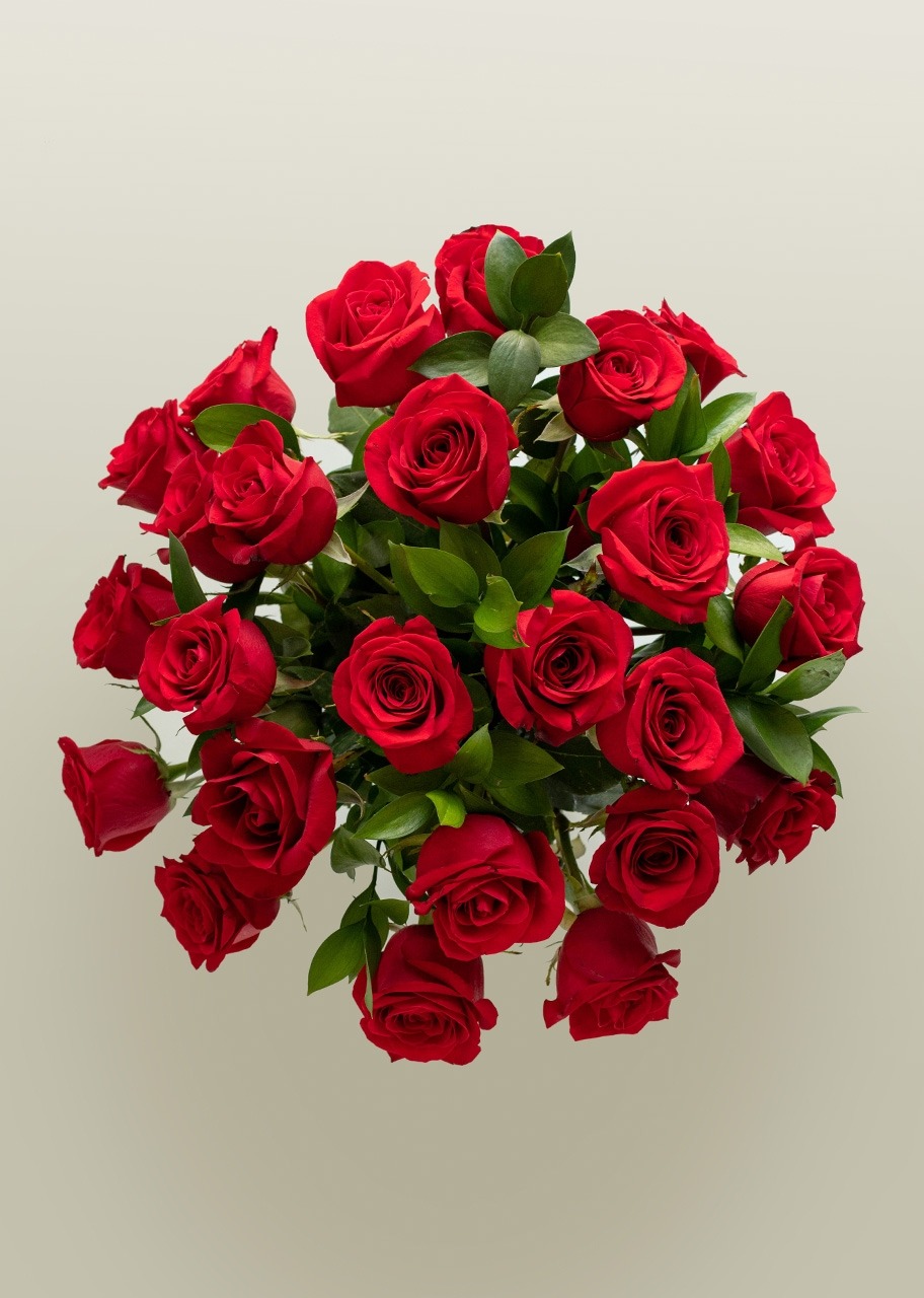 Imagen para Clásico Amor con 24 rosas rojas - 2