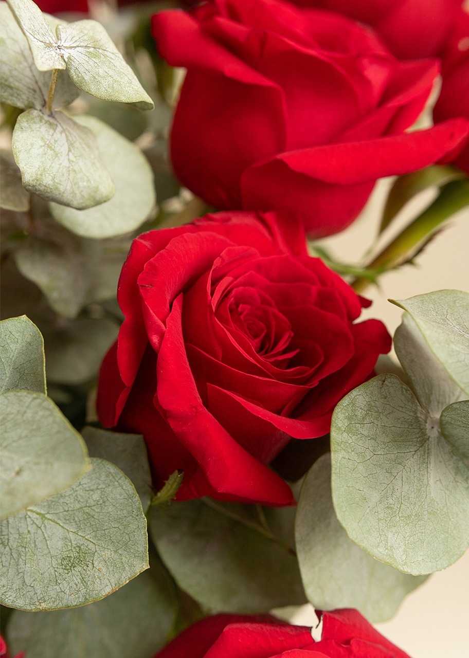 Imagen para Clásico Amor con 24 rosas rojas - 4