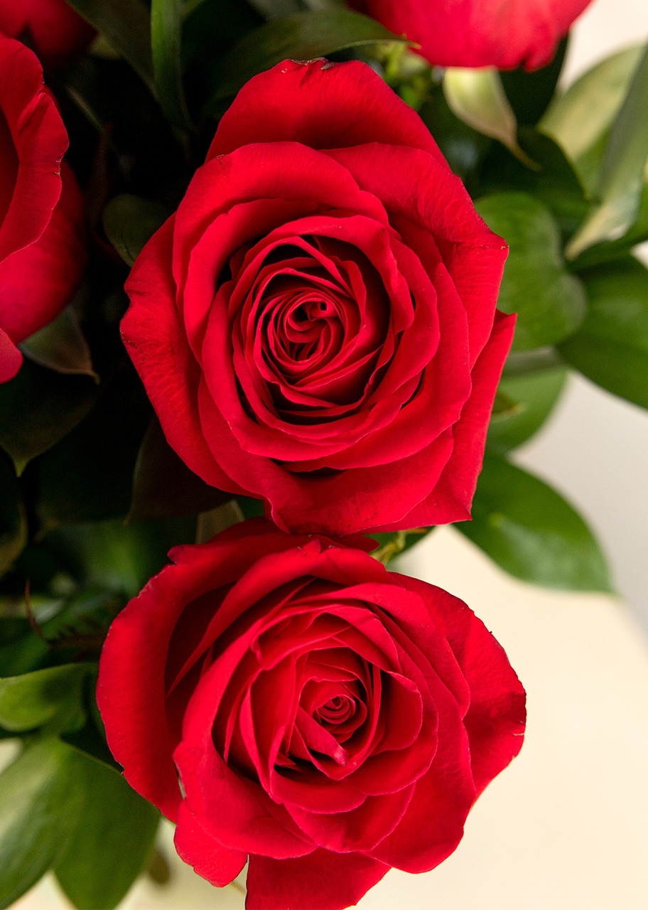 Brownies Tere Cazola con 12 Rosas Rojas