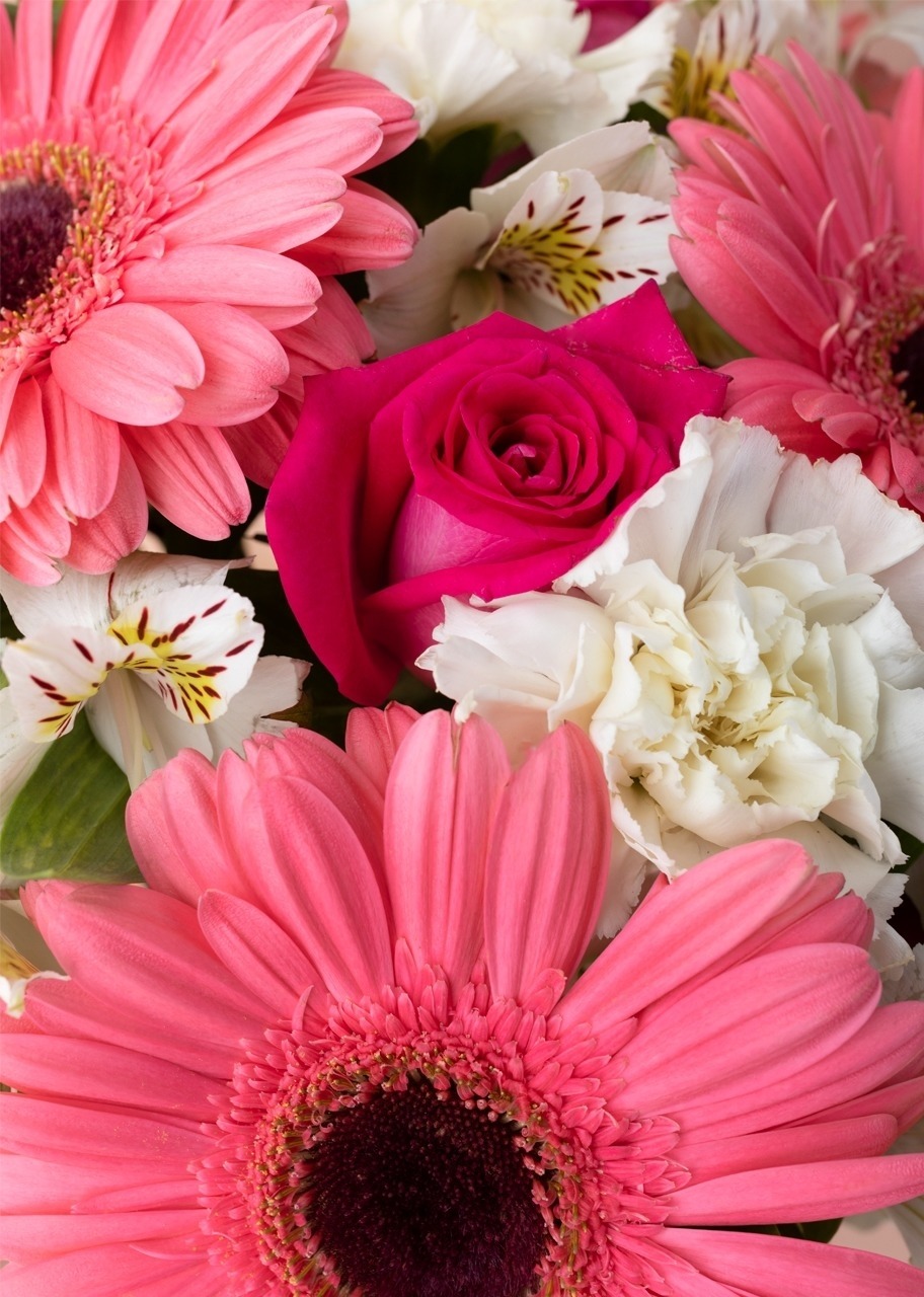 Imagen para Personaliza con Mini Foto Gerberas y Rosas - 2