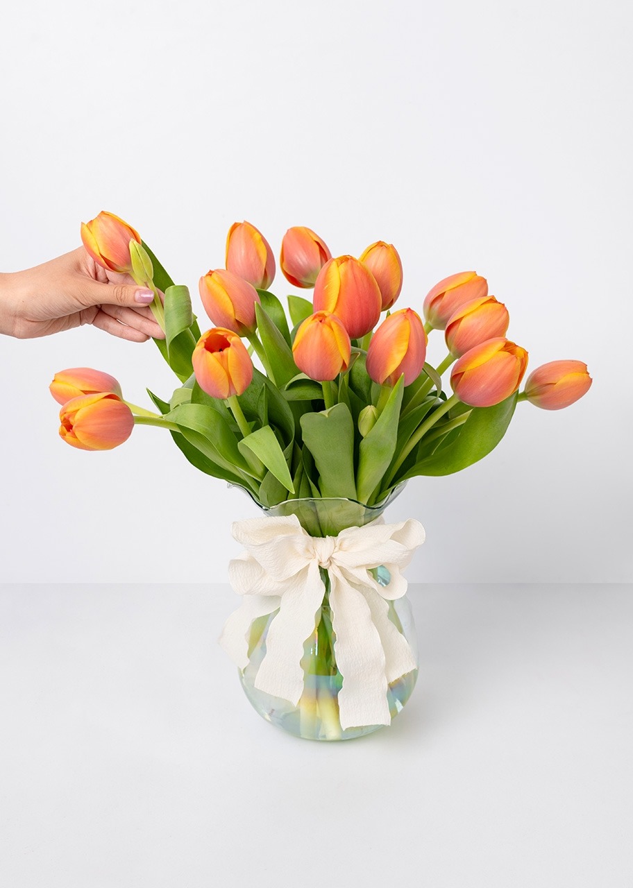 Imagen para 15 Tulipanes Naranjas - 2