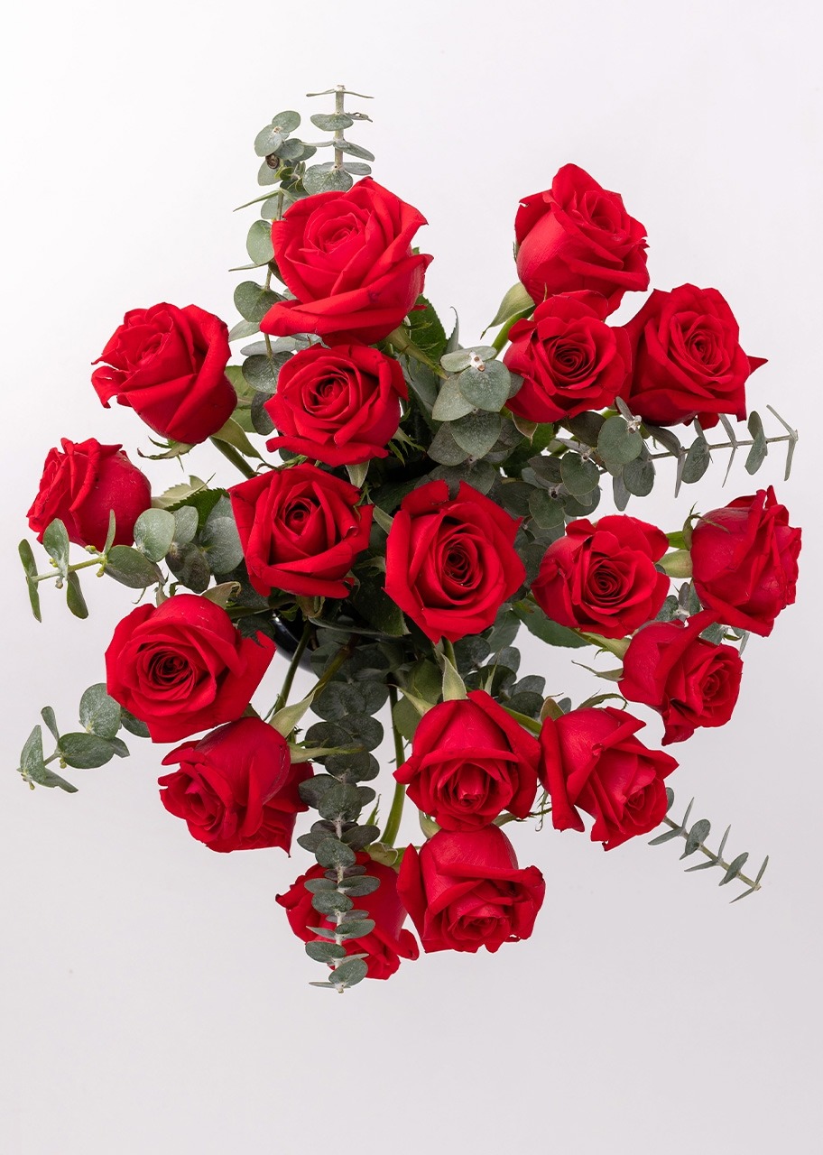 Imagen para 18 Rosas rojas en jarrón negro - 4