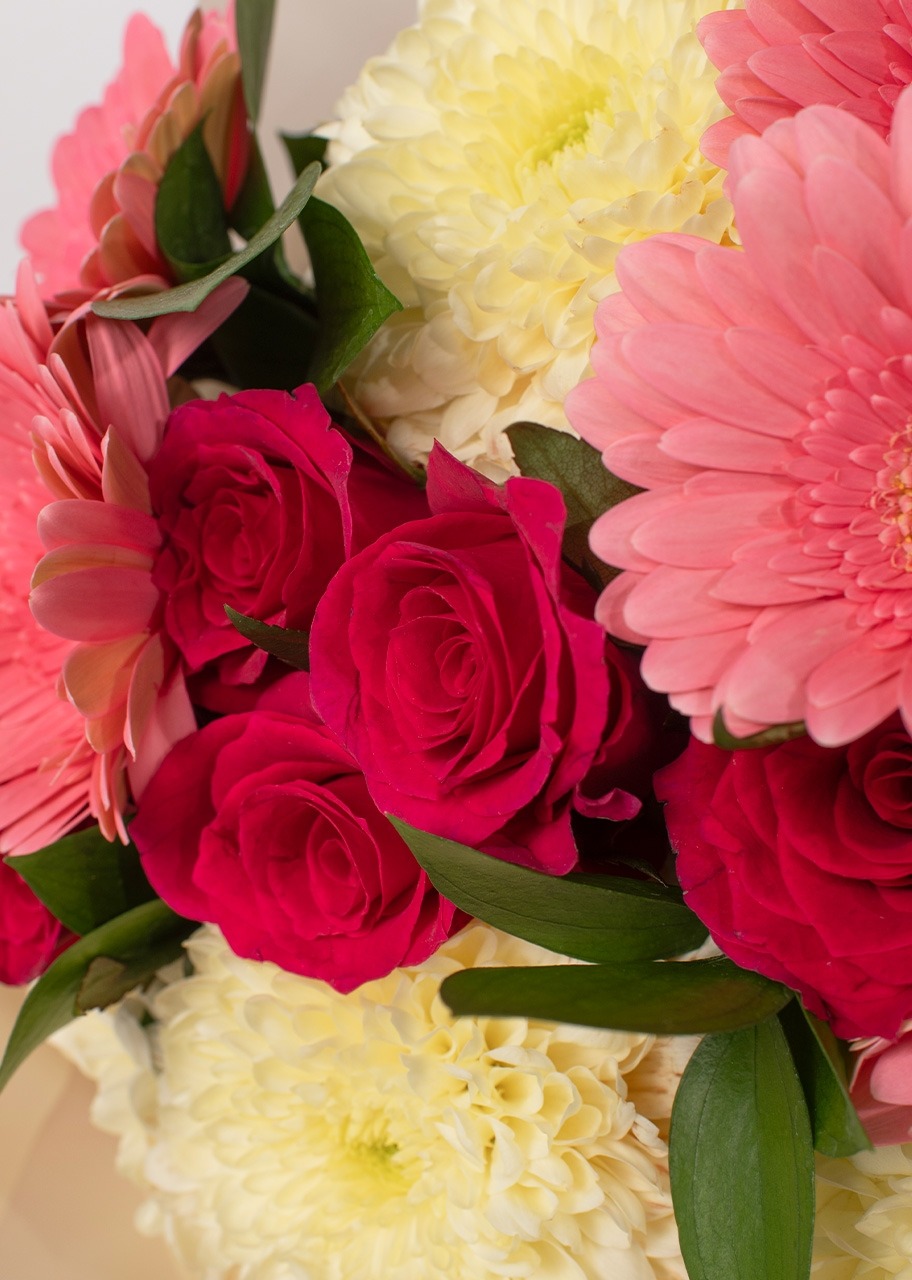 Imagen para Ramo Gerberas Rosas con Rosa Fiusha - 4