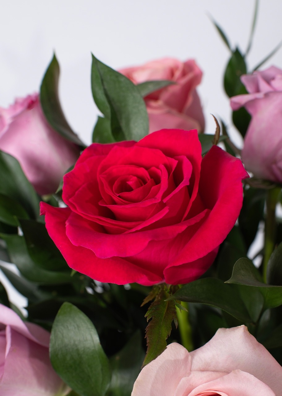 Imagen para Arreglo Romántico de 12 Rosas - 4