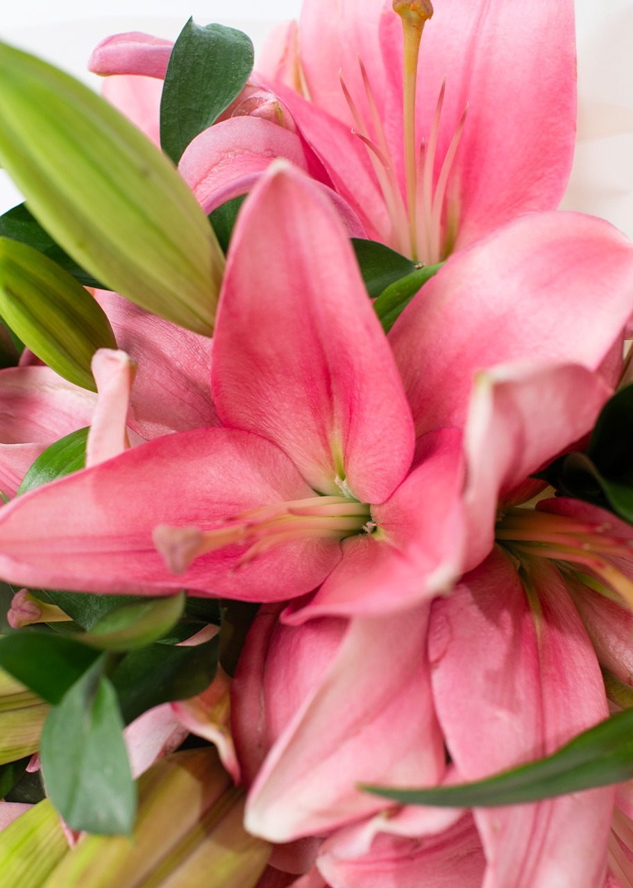 Imagen para Ramo de Lily Rosas - 4