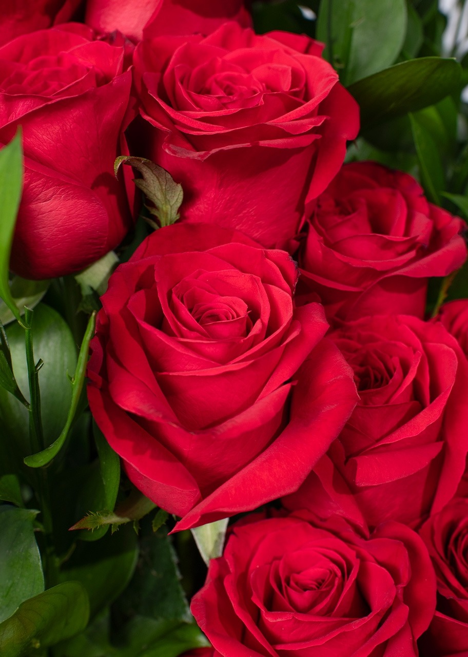 Imagen para Amor infinito con 24 rosas en Caja - 4