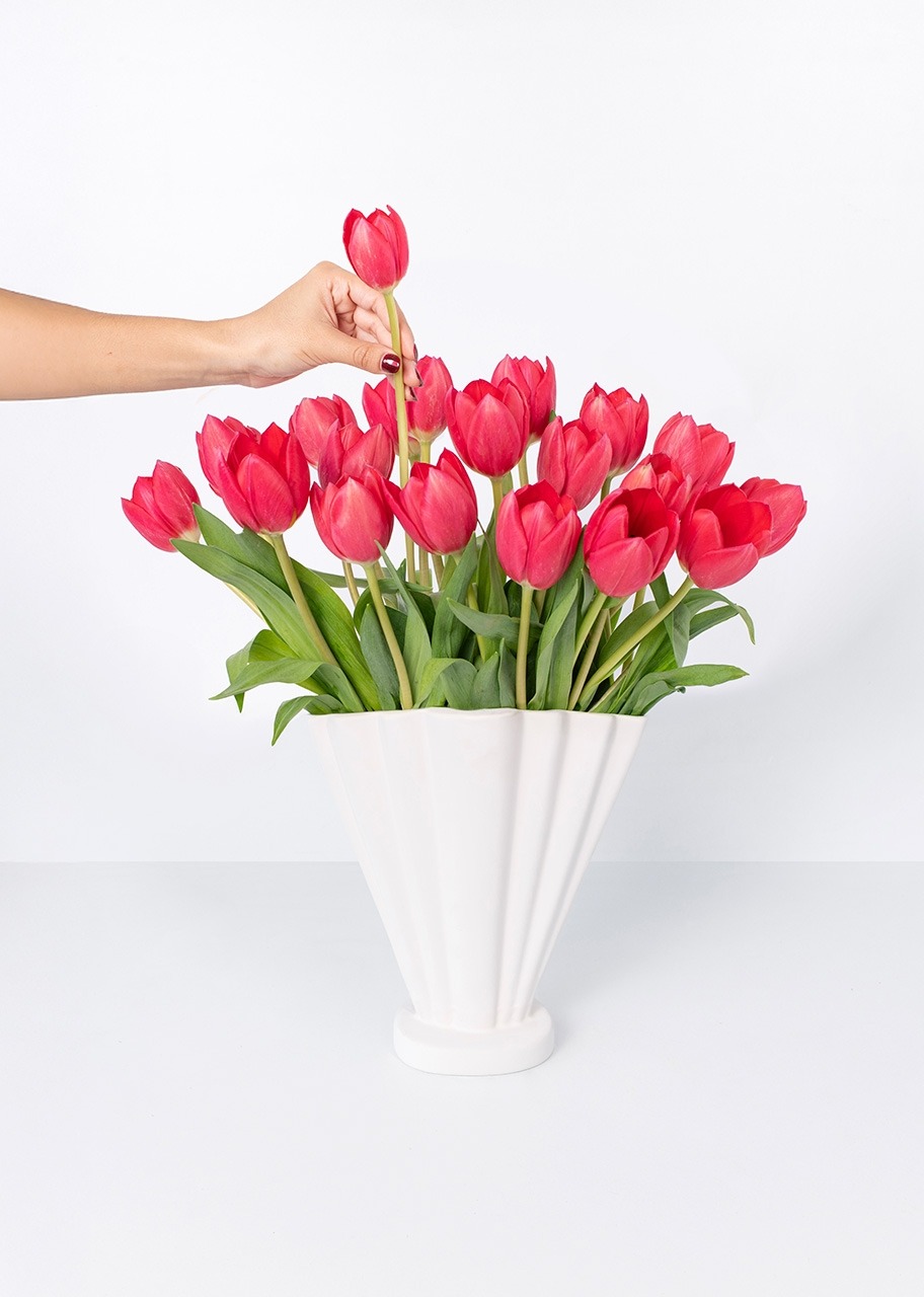 Imagen para 20 Tulipanes Rojos - 2