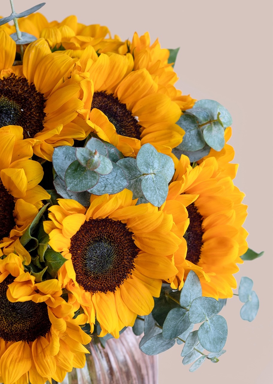 Imagen para 20 Girasoles en Jarrón rosa translúcido - 4