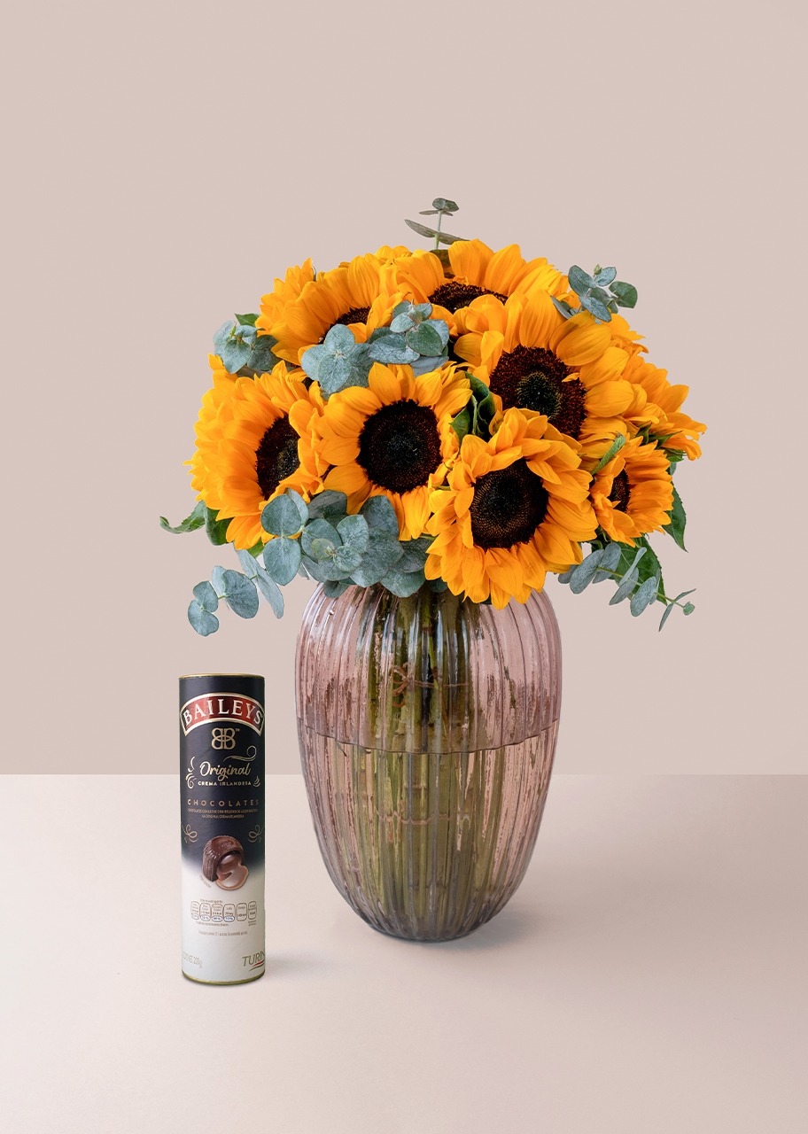 Imagen para 20 Girasoles en Jarrón rosa translúcido y Turin con licor Baileys 200g - 1