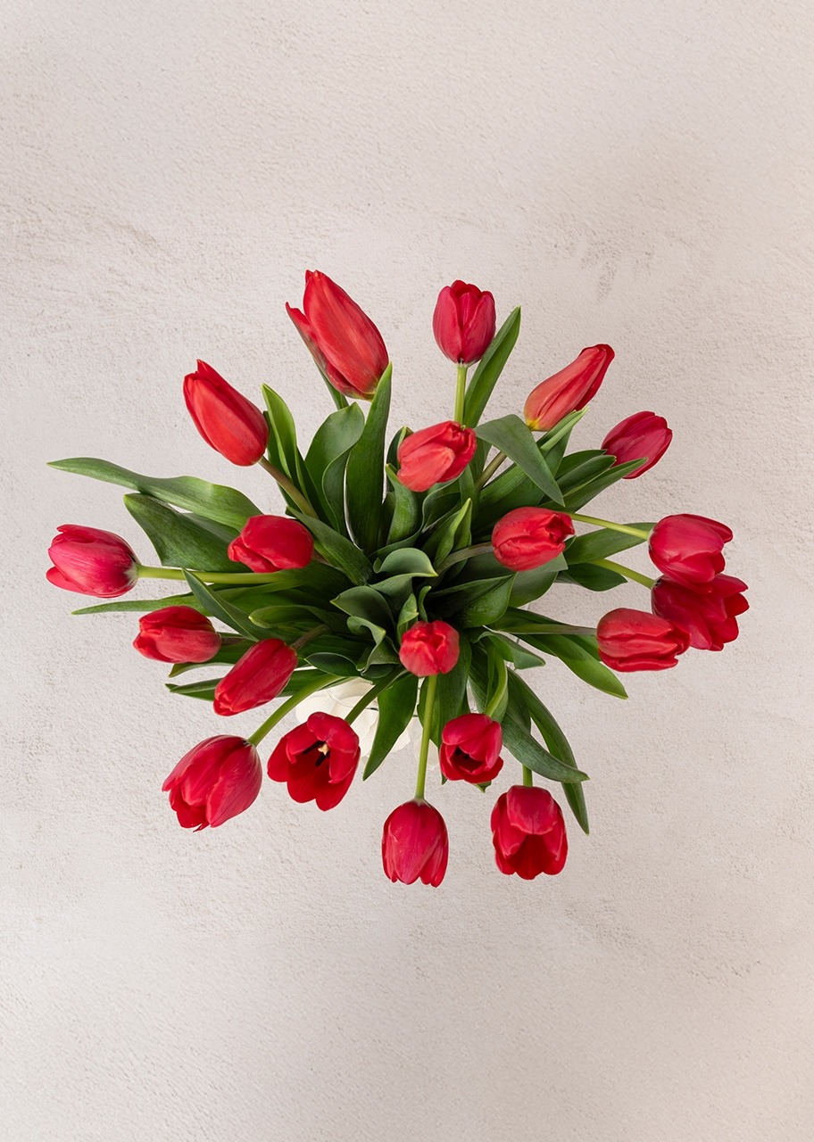 Imagen para 20 Tulipanes Rojos en Jarrón - 3
