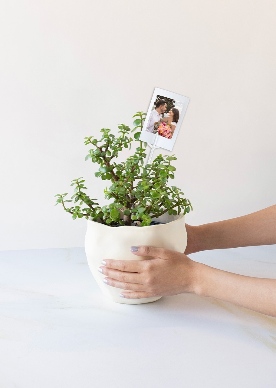 Imagen para Personaliza con Mini Foto con Árbol de la Abundancia - 2