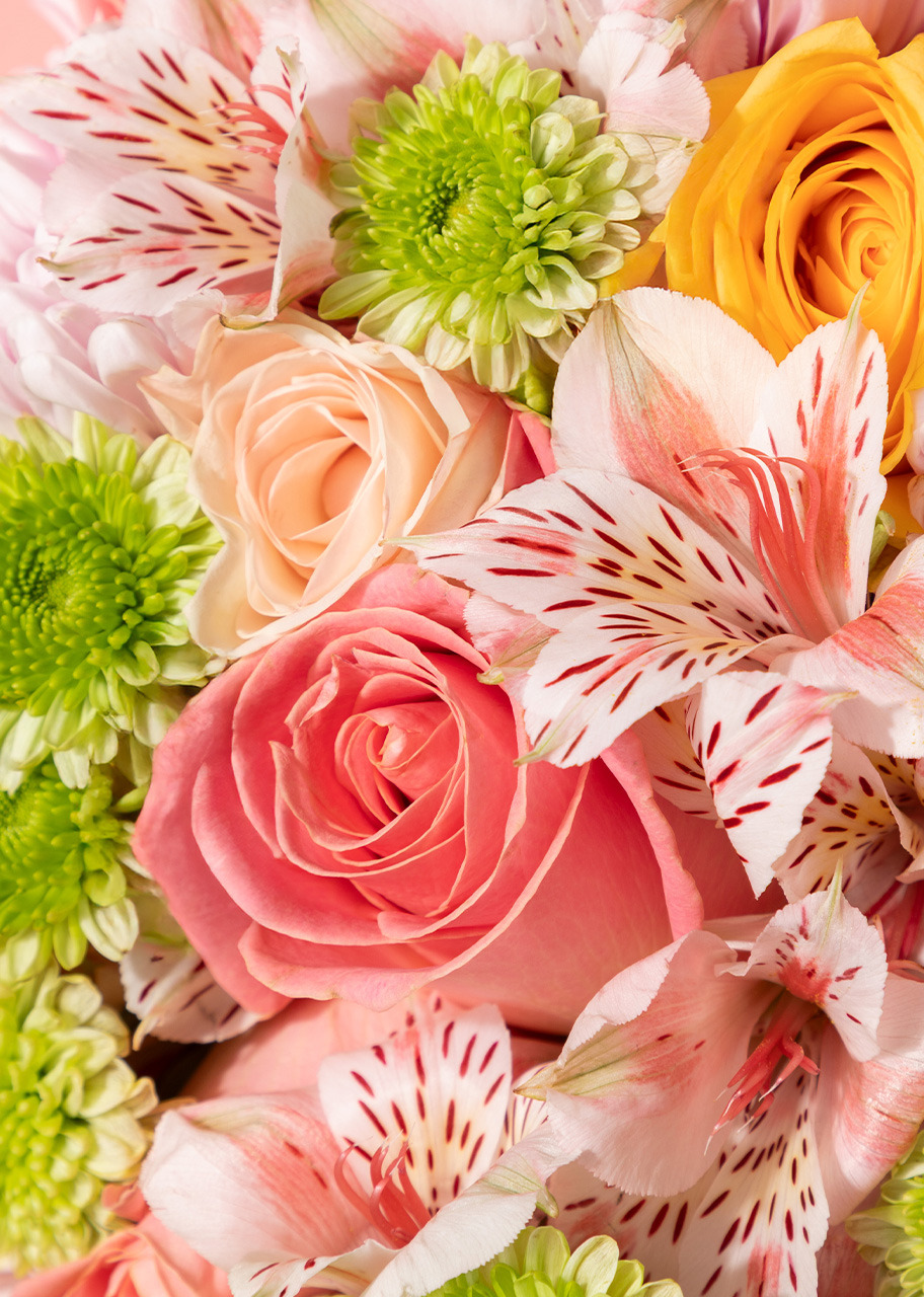 Imagen para Ramo de Rosas con Roxanne - 4