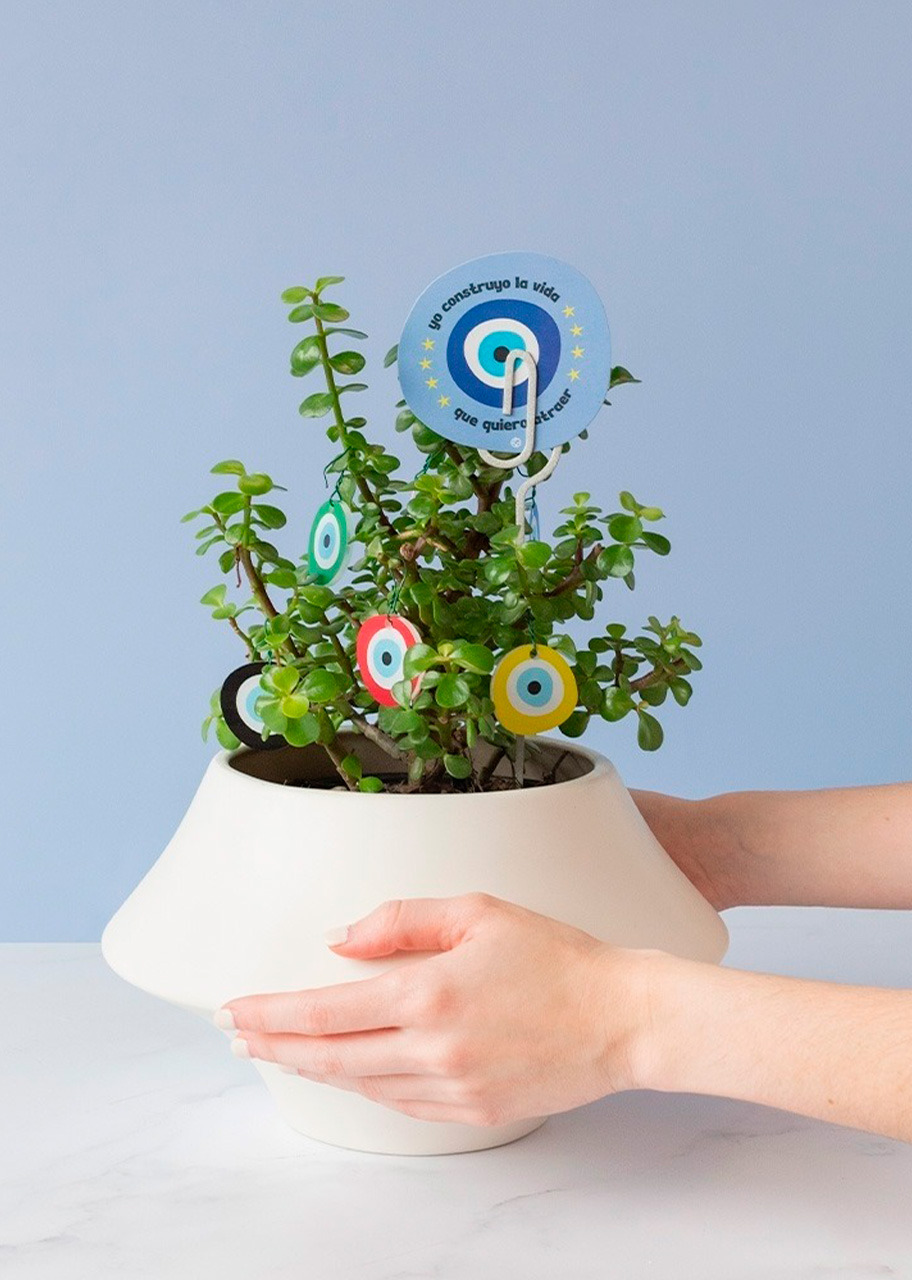 Imagen para Planta de la Buena Vibra con Pastel de Cumpleaños La Divinata y Globo ''Happy Birthday'' - 7