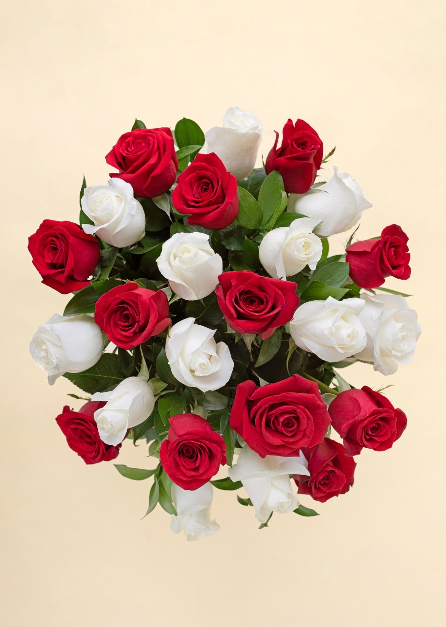 Imagen para 24 Rosas Radiantes - 2