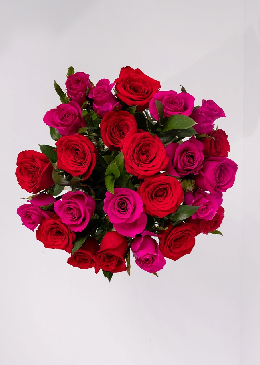 Imagen para Arreglo de 24 Rosas Rojas y Fucsia - 3