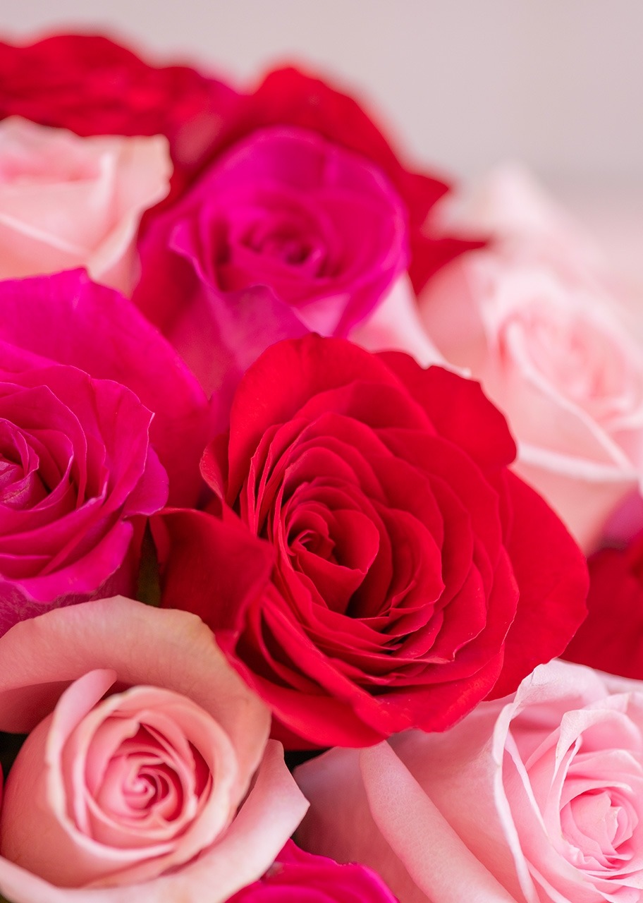 Imagen para Arreglo de 24 Rosas de Colores - 4