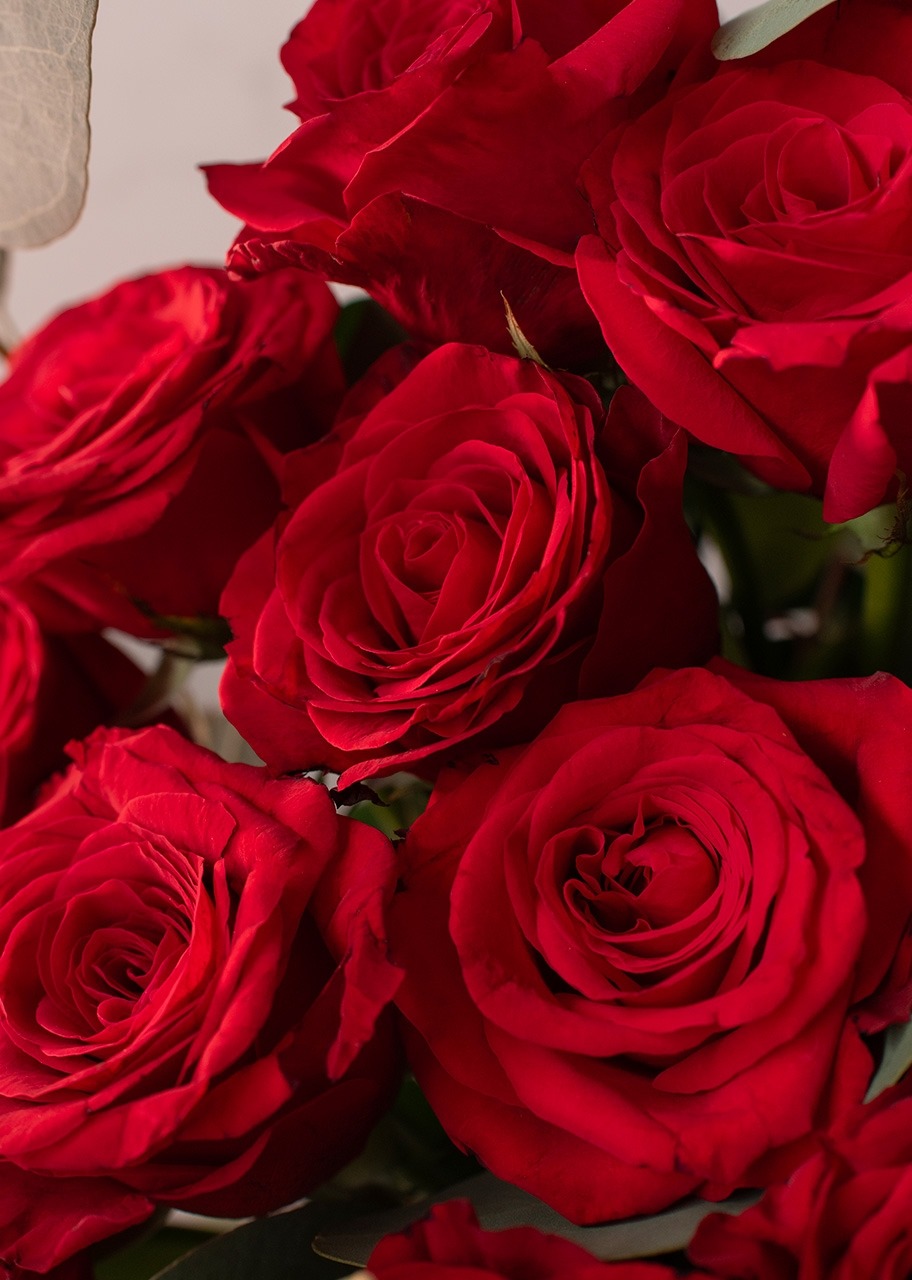 Imagen para 50 Rosas rojas en Caja - 4