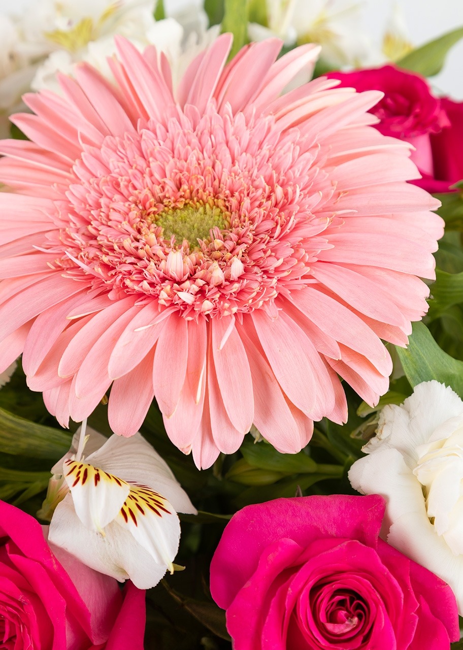 Imagen para 5 gerberas y rosas en jarrón tornasol - 4