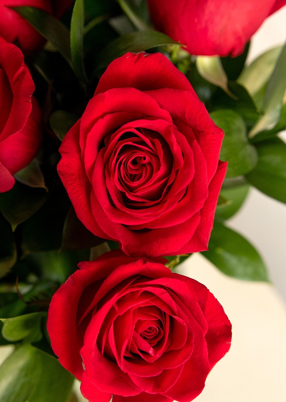 Imagen para Turin Masterpieces y 12 Rosas Rojas - 5