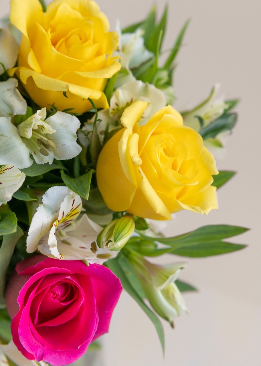 Imagen para 8 Rosas de Colores y Alstroemerias - 3