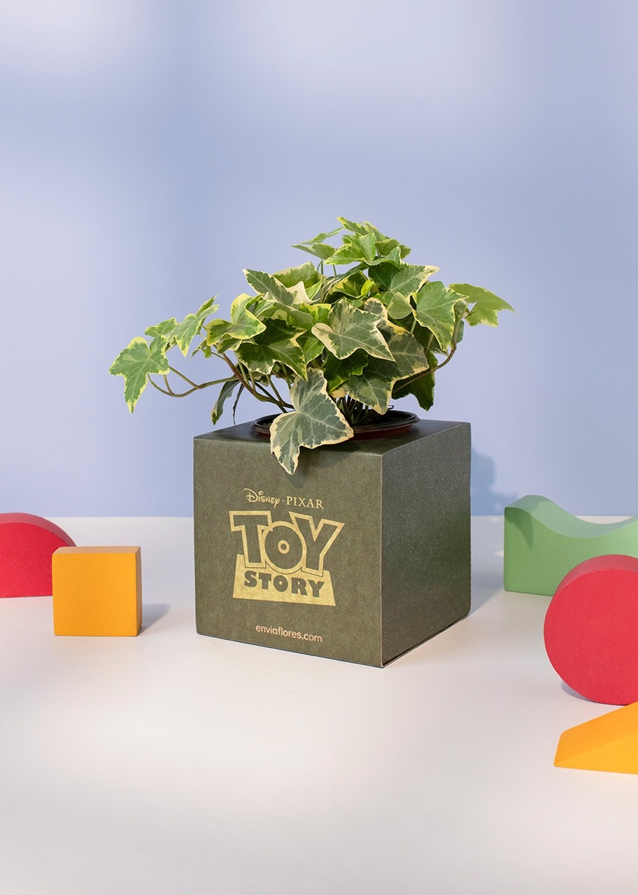 Imagen para Caja Disney Toy Story - 2