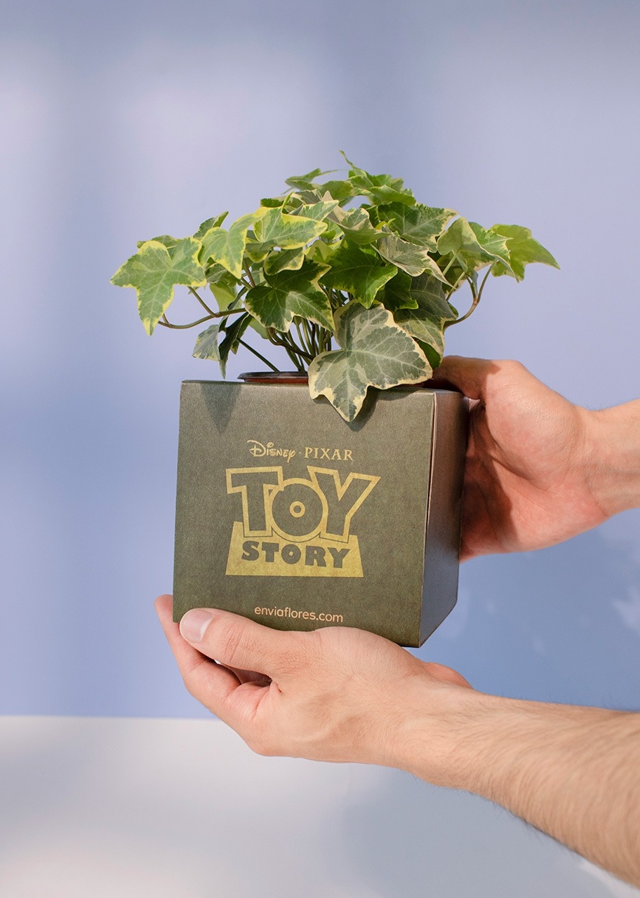 Imagen para Caja Disney Toy Story - 4