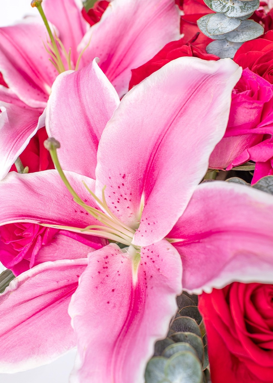 Imagen para Amor con Rosas y Stargazer en Jarrón y mini foto - 4