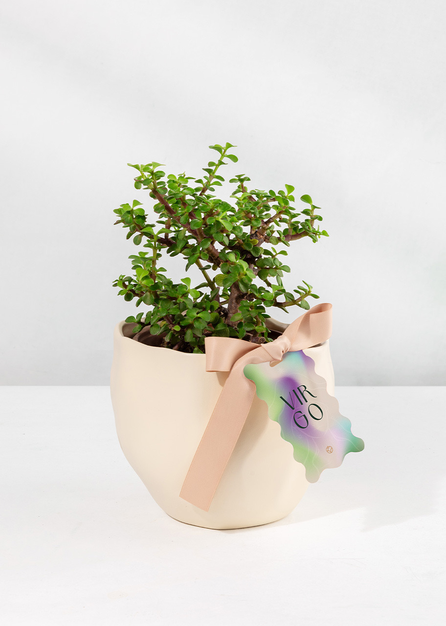 Imagen para Árbol de la Abundancia con Distintivo "Virgo" - 1