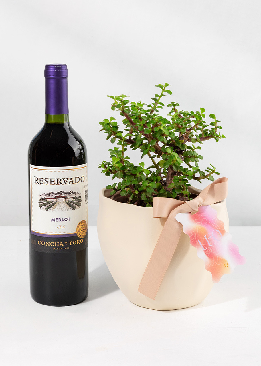 Imagen para Árbol de la Abundancia con Distintivo "Leo " y Vino Merlot Concha y Toro - 1