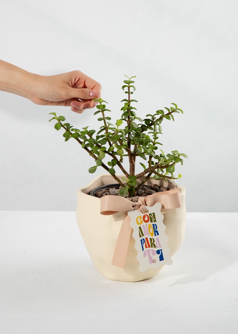 Imagen para Árbol de la Abundancia con Distintivo "Con Amor Para Ti" - 2