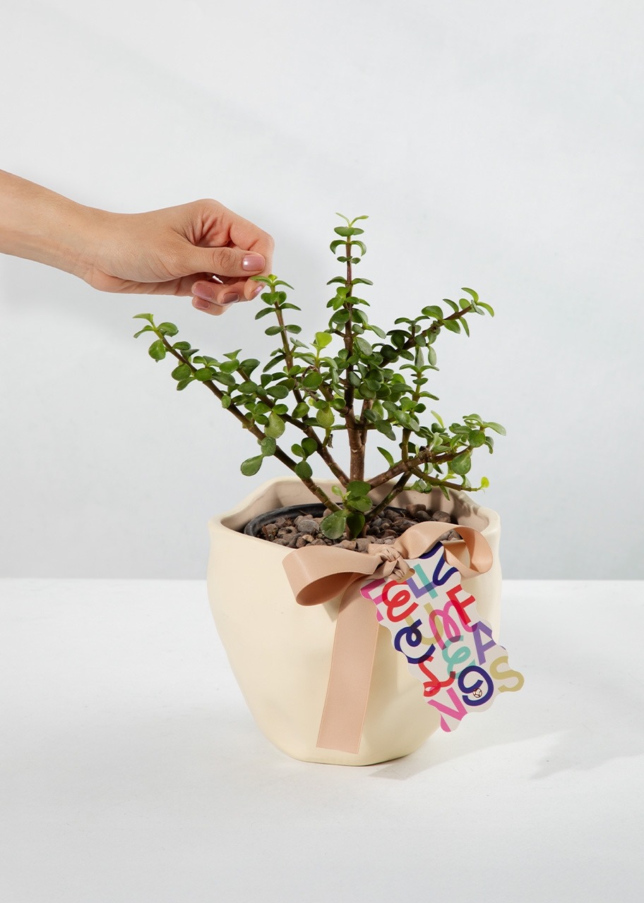 Imagen para Árbol de la Abundancia con Distintivo "Feliz Cumpleaños" - 2