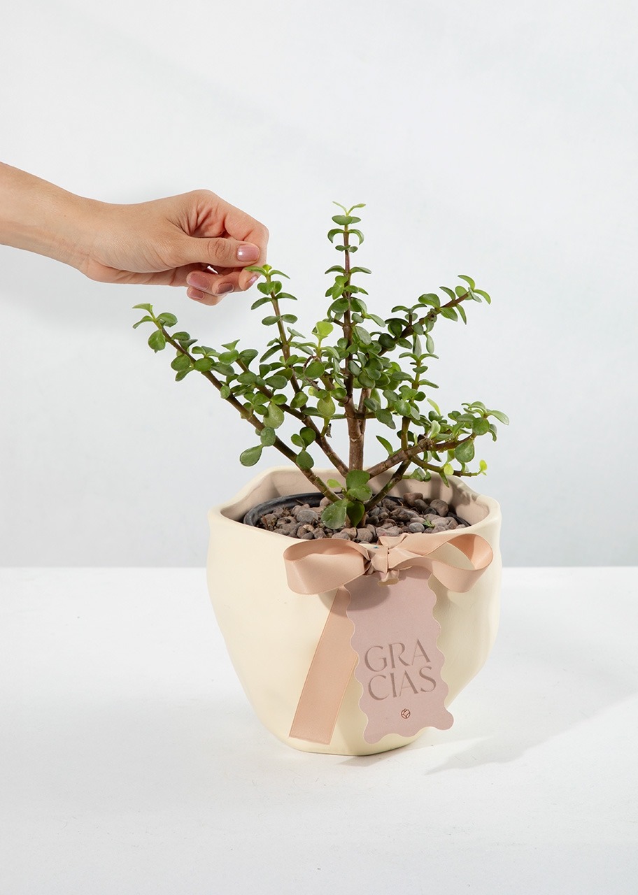 Imagen para Árbol de la Abundancia con Distintivo "Gracias" - 2