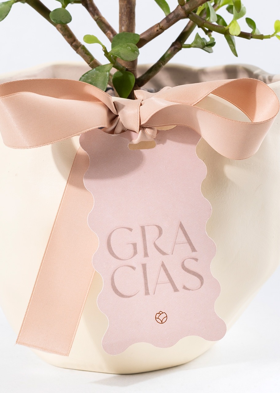 Imagen para Árbol de la Abundancia con Distintivo "Gracias" - 3