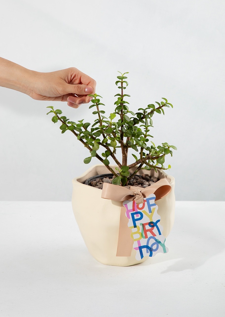 Imagen para Árbol de la Abundancia con Distintivo "Happy Birthday" - 2