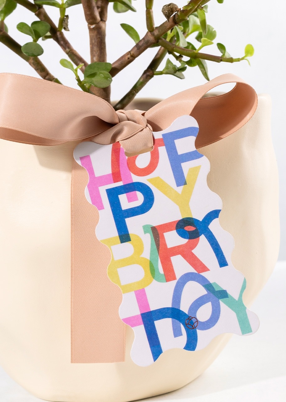 Imagen para Árbol de la Abundancia con Distintivo "Happy Birthday" - 3