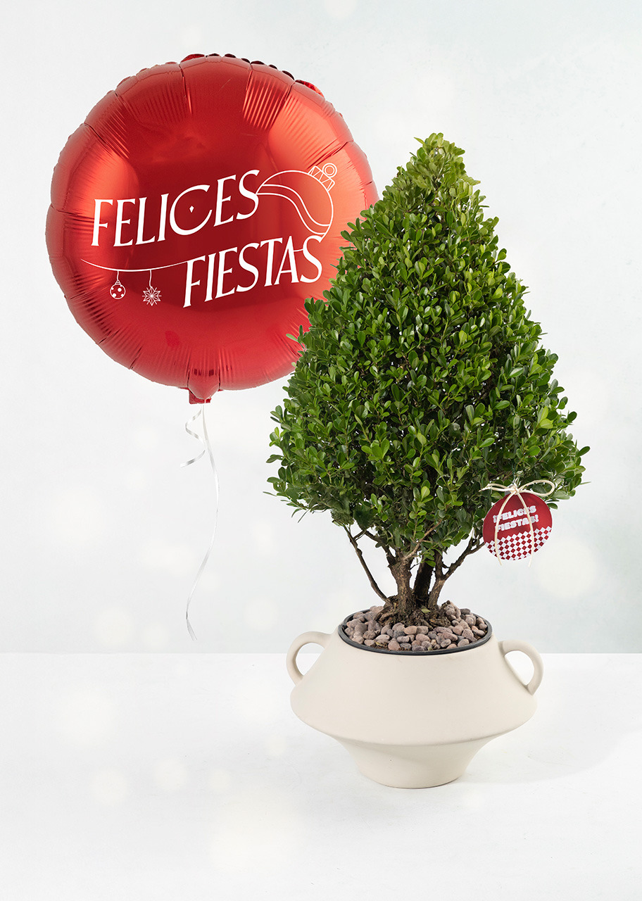 Imagen para Arbolito Buenos Deseos  con Globo Navidad - 1