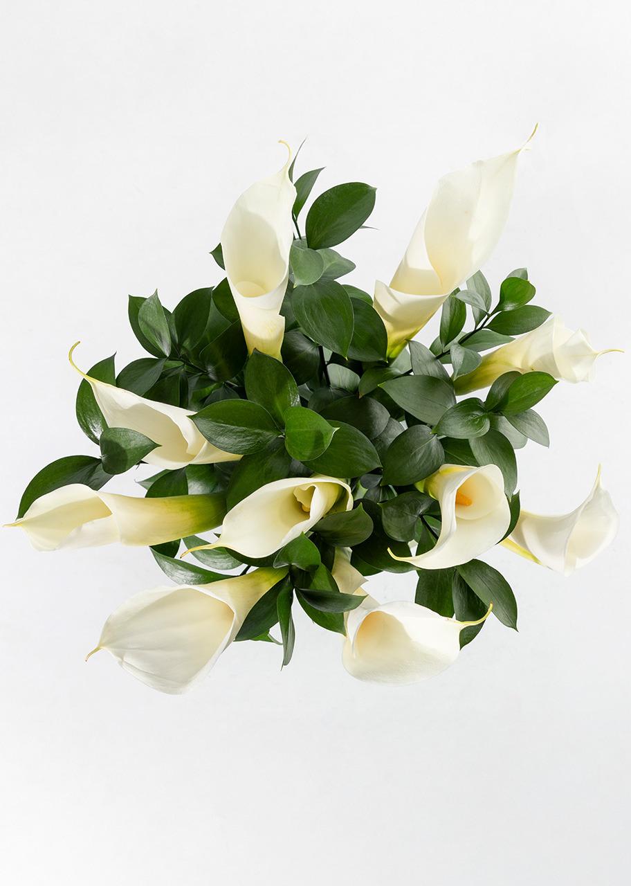 Imagen para Arreglo de 10 Alcatraces - 3