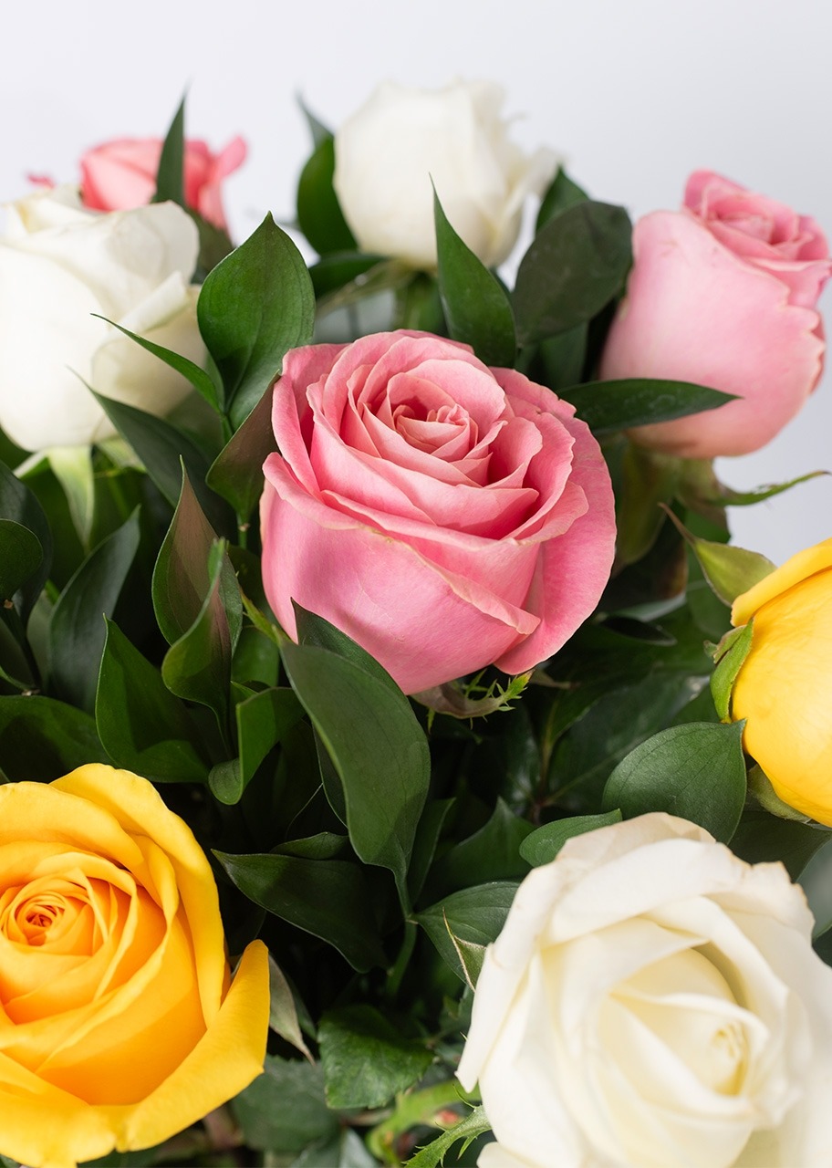 Imagen para Arreglo de 12 Rosas Combinadas - 4