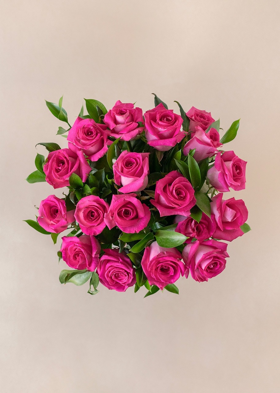 Imagen para Arreglo de 18 Rosas Fucsia - 3