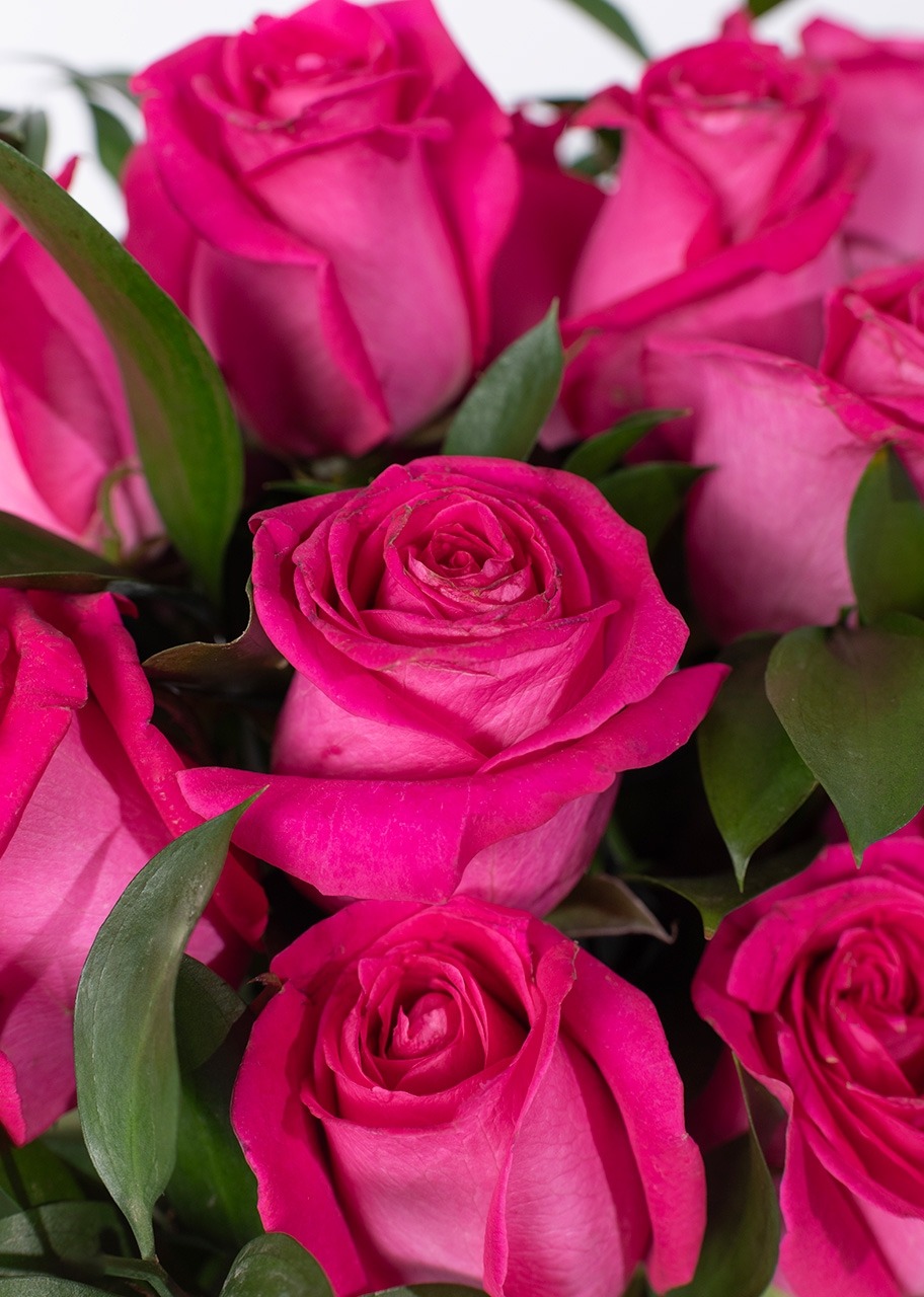 Imagen para Arreglo de 24 Sueños Rosa Intenso - 4