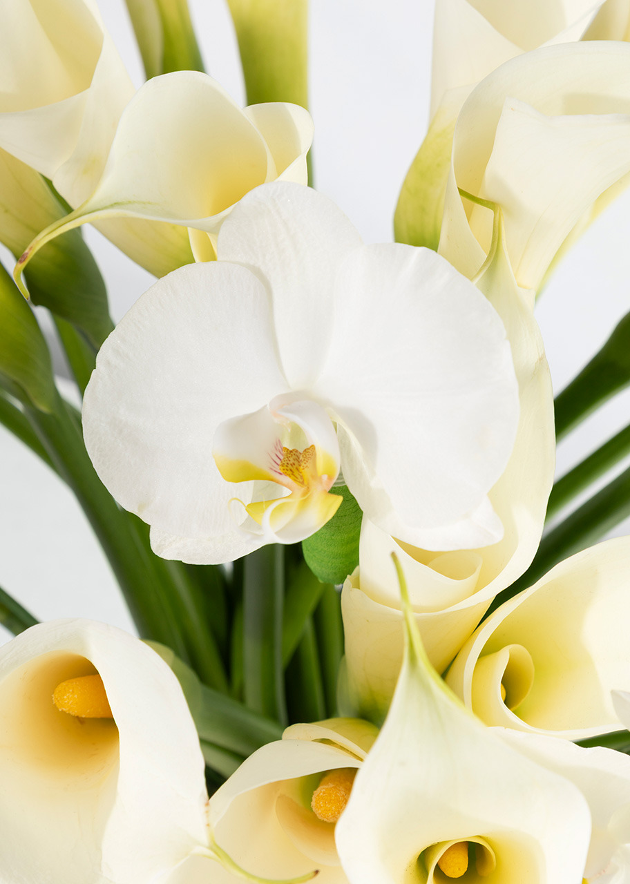 Imagen para Arreglo de Alcatraces y Orquídea - 3